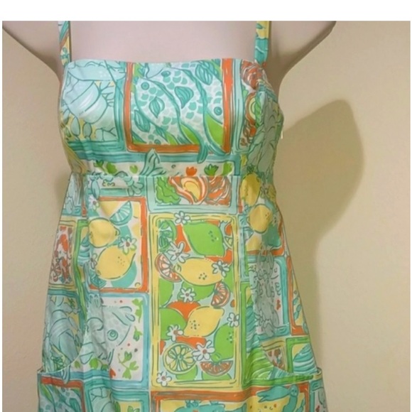 Lilly Pulitzer Dress - Picture 4 of 4